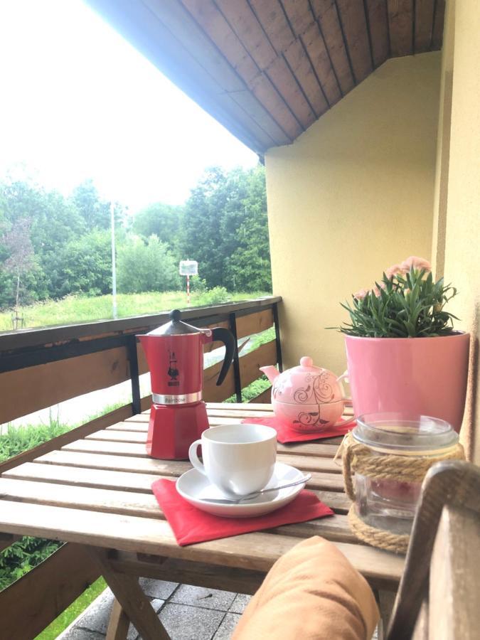 Apartman S Vyhledem Na Jezerni Stenu Železná Ruda Kültér fotó